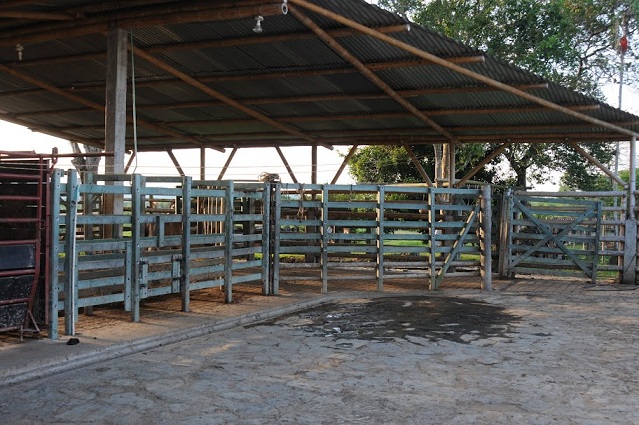 remolques agrícolas 38 cisternas plataformas plástico maderplast galera esparcidores de estiércol remolque esparcidor plataformas remolcador para transporte agrícola basculante plataformas o zorra ganado