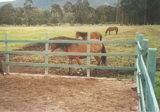 Corral caballos 22 corrales para caballos establo de caballos Información Técnica dimensiones ideales tipos pistas picaderos redondo perfecto para trabajar potros para doma una pista de trabajo pista resonar Corrales plásticos Maderplast los más fuertes, no es pudren, no se oxidan, no se rompen, no maltratan el ganado, corrales e instalaciones para ganadería tecnificadas, estabulación de ganados en corralejas ecológicas, las nuevas tecnologías de los nuevos materiales, para las faenas ganaderas, ganadería intensiva, ganaderías extensivas con infraestructuras para faenado de ganado,
