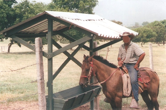 Saladero ganado 8 saladeros movibles bebederos agua fijos comederos heno ensilaje para ganado de sales sal mineralizada suministrar la sal saladero con techo teja ganado bovino plástico maderplast